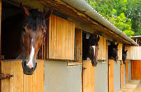 free Little Mascalls stable construction quotes